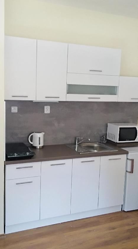Apartmany Divoky Andel Dolní Moravice Zewnętrze zdjęcie